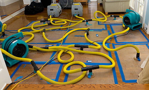 Professional Burst Pipe Water Damage technician working in Mastic, NY